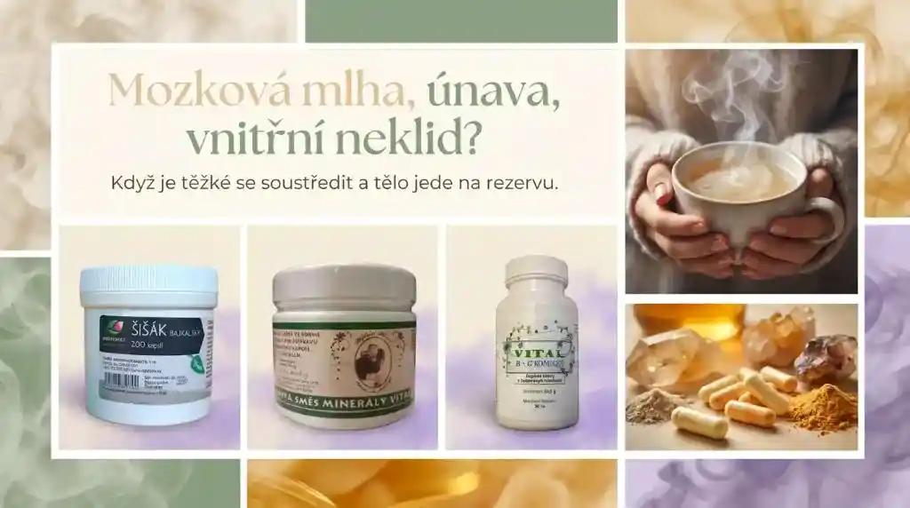 Balíček Mozková mlha, únava, vnitřní neklid – Šišák bajkalský, Vital B+C komplex a Minerály VITAL